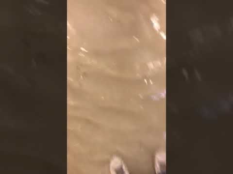 Klinikum Leer (Ostfriesland) unterwasser