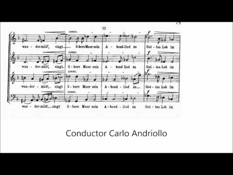 Hugo Wolf,  Resignation (Sechs geistliche Lieder), Cantoria Sine Nomine