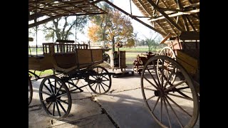 Bodega Juanico