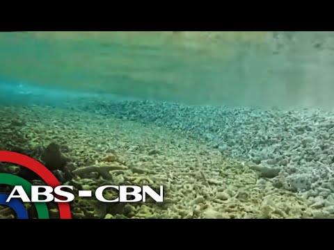 Coast Guard videos show massive damage to Rozul Reef, Escoda Shoal
