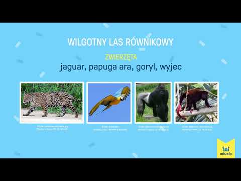Krajobrazy świata. Część 1 - Geografia, Klasa V - VIII - Eduelo
