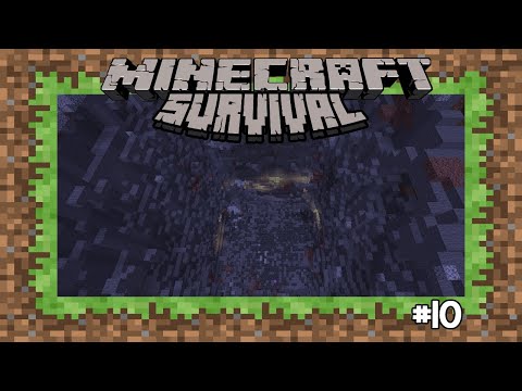 MINI PERIMETRO IN 5 MINUTI - ep 10 - Blaze Survival - Minecraft 1.16.3