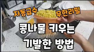 콩나물"키우기 세계에서 제일 쉬운방법~#콩나물키우기 #콩나물재배 #콩나물기르기 #유태콩 #서리태콩 #콩나물자…