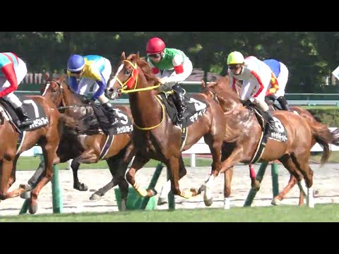 【4K】🐎札幌日経オープン SAPPORO NIKKEI OPEN Part1 2016/08/06 札幌競馬場　Panasonicデジタル4KビデオカメラWXF990M撮影映像