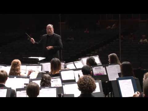 NPHS Wind Ensemble PMEA MPA 2-24-16 Conductor View