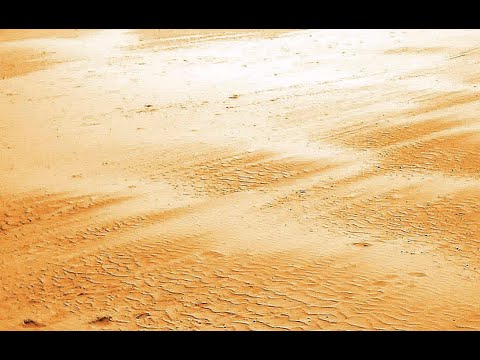 Sefer Melachim Alef Ch 5 Pt 1 Promises of Sand and Borders Fulfilled