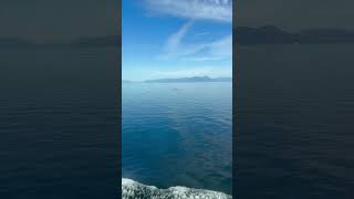 Download lagu Enjoy life #viralvideo #thankfulgratefulblessed mp3 Download lagu Enjoy life #viralvideo #thankfulgratefulblessed mp3