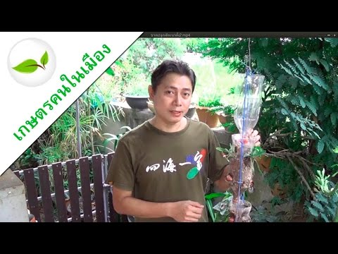 เพราะสิ่งที่หน้าอกอาจเติบโตเพียงเล็กน้อย หน้าอกซิลิโคนในยุโรป