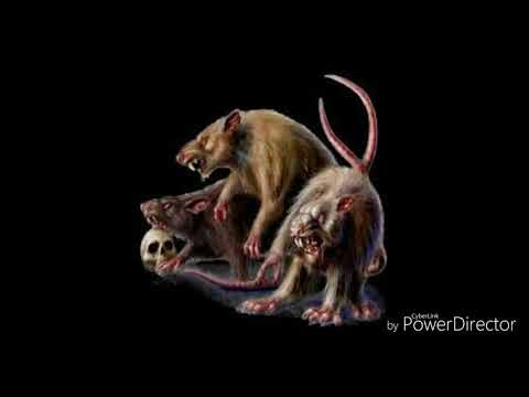 RATZILLAZ x PESTY SIDA - CARACTERÍSTICAS IMPLÍCITAS (Prod. Pesty Sida)