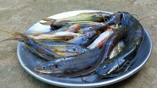 Tangra Fish Curry With Potato And Tomato