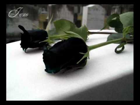 julio jaramillo - mis flores negras - pasillos de oro