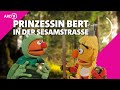 Der Froschkönig Mit Ernie Und Bert Sesamstraße