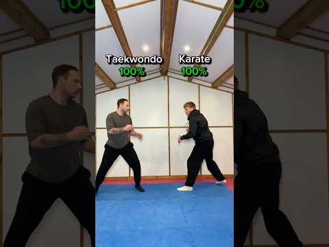Taekwondo vs Karate… who wins?