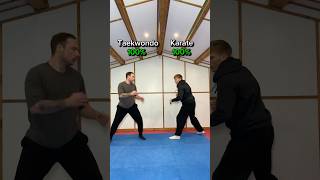 Taekwondo vs Karate… who wins?
