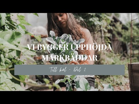 Vi anlägger upphöjda odlingsbäddar. DEL 2