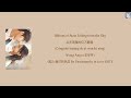 Billions Of Stars Falling From The Sky 从天而降的亿万颗星 Wang Anyu 王安宇 陷入我们�