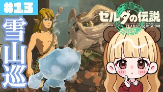 最高の雪山探索！裸祠の大襲撃……#13【ゼルダの伝説 ティアーズ オブ ザ キングダム】