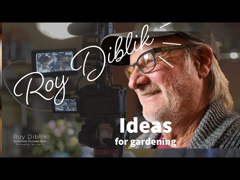 Creating Plant Patterns, Part 3 of 4  Episode #95