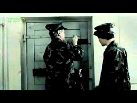 Besondere Kennzeichen. Keine