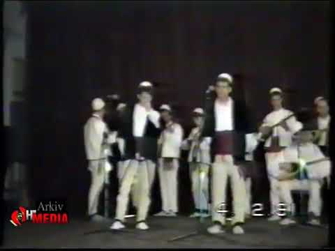 Reshit Salihi &Naser Demiri këngë për Dibrën 1991