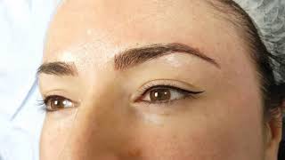 Latino Eyeliner + Microbladed Eyebrows by El Truchan @ Perfect Definition