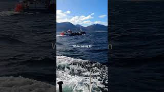 Download lagu We Cross A Fishing Boat And He Is..... mp3