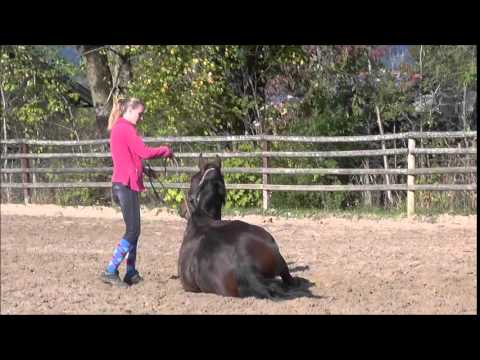 hinlegen- noch lange nicht perfekt, aber ein Anfang :)