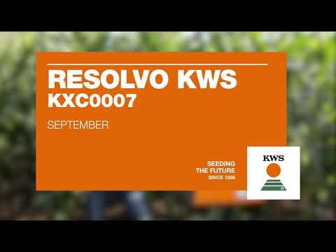 Resolvo KWS