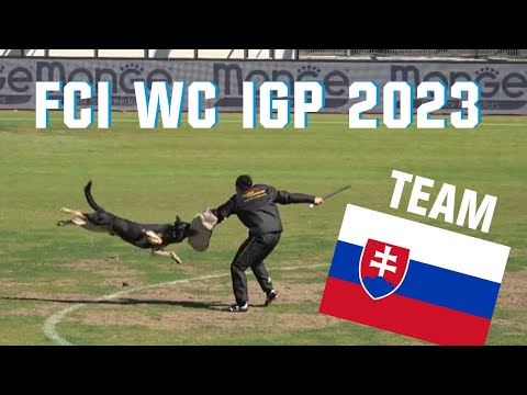 31. FCI WC IGP 2023 // Bono Extreme Arakon Land // Team Slovakia // working-dog