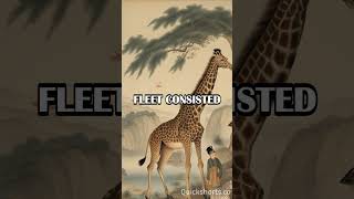 The Zheng He Expeditions China's Treasure Voyages #history #china's