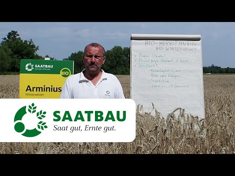 SAATBAU ACKERdemie Herbstanbau BIO-Winterweizen | SAATBAU LINZ