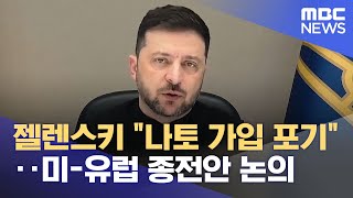 젤석열 