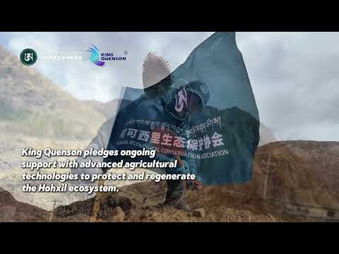 Restoring the Heart of the Plateau: King Quenson & Hohxil’s Green Revolution