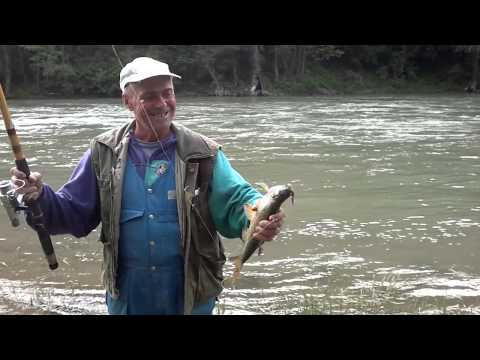 Ribolov plotice rijeka Drina (majstor Musa)