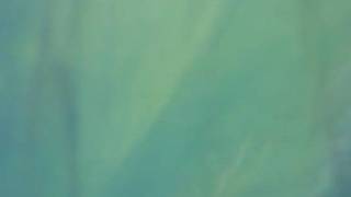 Arild Andersen (feat. Terje Rypdal, Jon Eberson & Radka Toneff): "Green Shading Into Blue"