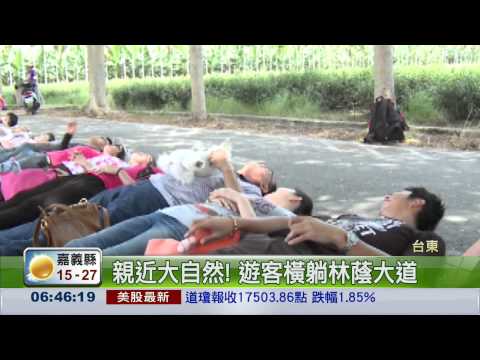 龍田綠色隧道 15日起遊客禁躺馬路