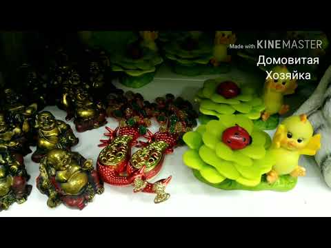 Влог В гостях/ ЦВЕТЫ/ СЕМЕНА ДЛЯ ДАЧИ/ МАГАЗИНЫ/ ПОГОДА #ДомовитаяХозяйка