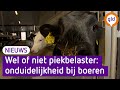Vertrouwen van boeren in politiek brokkelt verder af