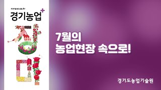(이달의 농업현장) 7월의 농업현장 속으로!