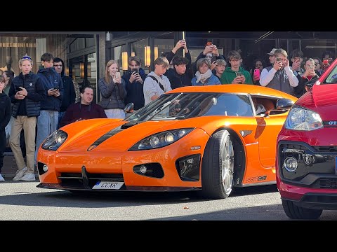 ! ZGP 2k24 ! KOENIGSEGG CCXR ! AM VALKYRIE ! AM VALOUR ! FERRARI F40