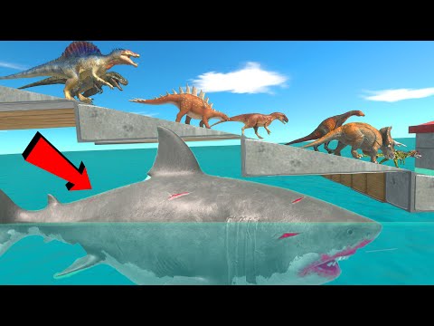 Dangerous Slope Challenge – Don’t Fall into the Mouth of Megalodon