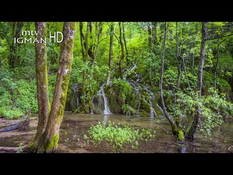 RAMAZANSKA DOVA 24. DAN - MTV IGMAN