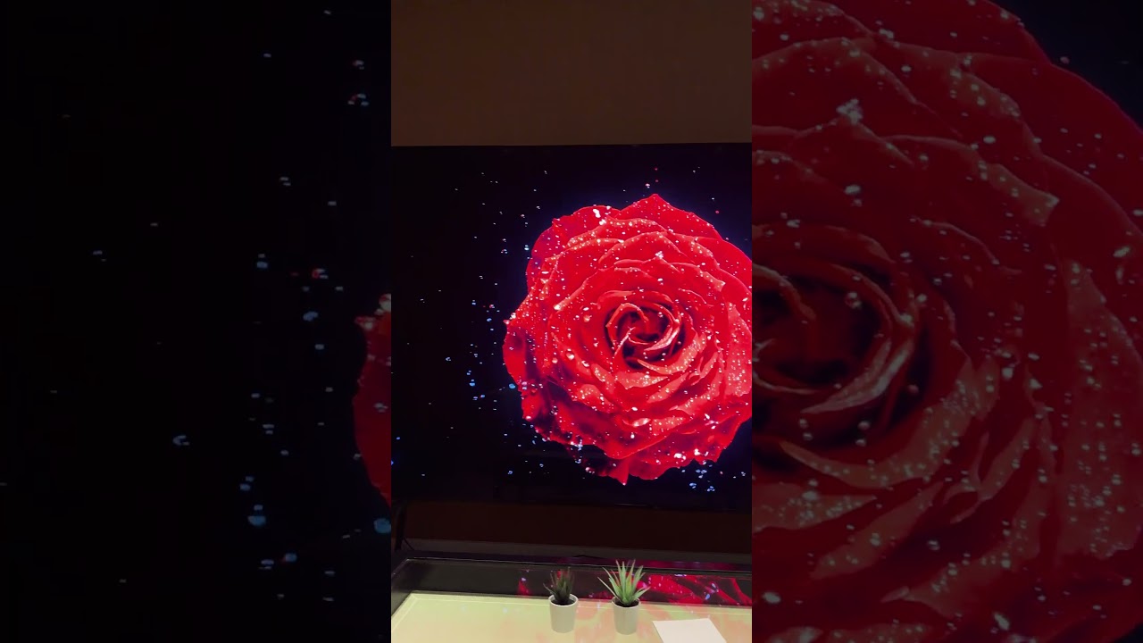 This 115-inch TCL TV Makes Your Screen Seem Tiny #shorts