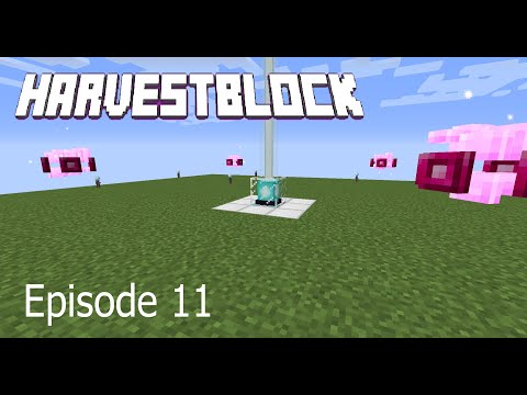 E11 Harvest Block LP -  Supremium Armor and Gaia Boss