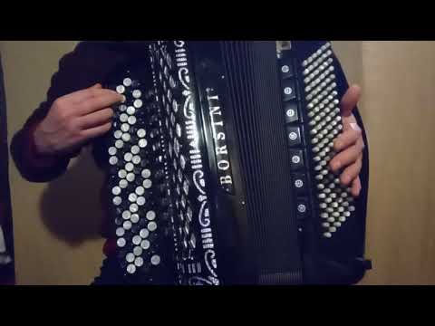 Borsini SL9218 (4/5 reeds) accordion