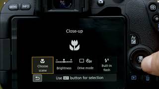 Video 3 of Product Canon EOS Rebel SL2 / 200D APS-C DSLR Camera (2017)
