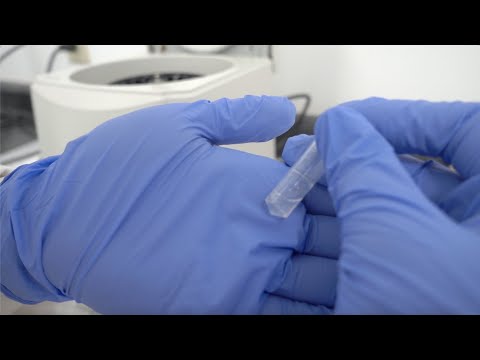 Minute Total Protein Extraction Kit - Invent Biotechnologies