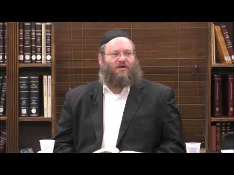 Tanya Chapter 29 Part 3 - Rabbi Naftali Silberberg