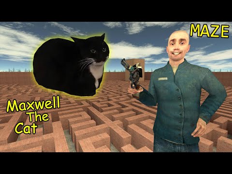 Never Go To Maze - Maxwell The Cat