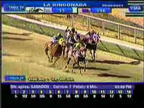 Domingo, 06 de Febrero de 2011 - La Rinconada